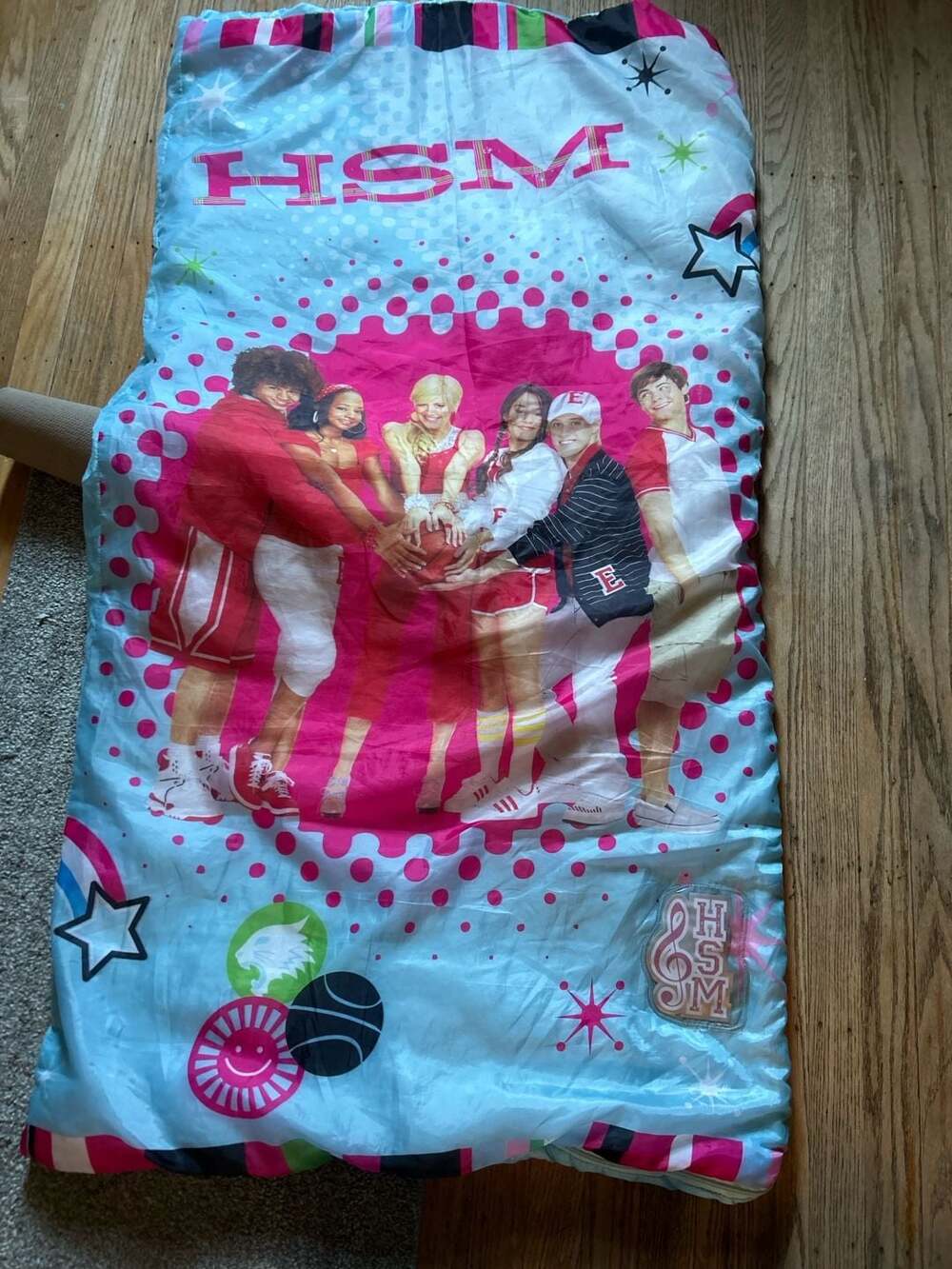 Vintage Y2K High School Musical (HSM) Sleeping Bag
